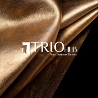 Trio Hub logo - Similar company to Trio | Ai Film Hub