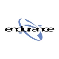 Endurance Enterprises Inc logo - Similar company to Endurance Software Solutions