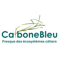 Carbone Bleu logo - Similar company to Seablocks