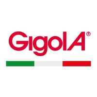 Gigola & Riccardi S.p.A. logo - Similar company to Caberg S.P.A.