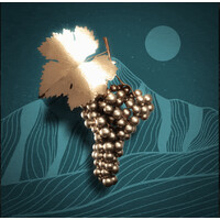 #NFGrapevine NFT🇨🇭 logo - Similar company to Streamnow Ag