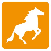 Destrier logo - Similar company to Into Tampere