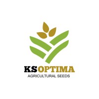 KSOptima logo - Similar company to Herbatica