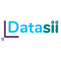Datasii Consulting logo - Similar company to Change Republic