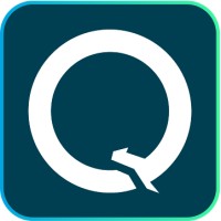 Qilean logo - Similar company to Saro