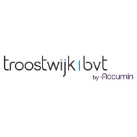 Troostwijk | BvT by Accumin logo - Similar company to A.R.E. Audit & Advisory