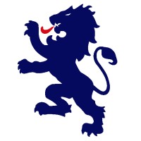 Medicis logo - Similar company to Sonj Conseil