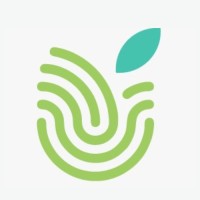 Cenit Consultora