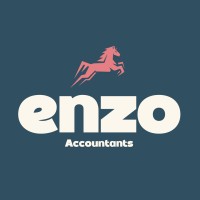 Enzo Accountants Limited logo - Similar company to Drivelife