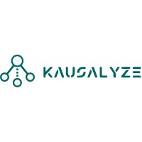 Kausalyze logo - Similar company to Kausal