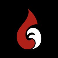CFBT-NL BV logo - Similar company to Flash Formation