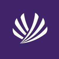ICARUS SOLUTIONS logo - Similar company to Icarus Solution