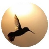 Career Flight Consultancy Services logo - Similar company to Talent Performance