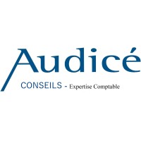 Audicé Conseils logo - Similar company to Alter Conseil