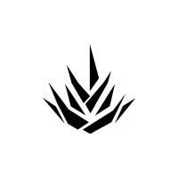 Agavus | Relojes de madera personalizados logo - Similar company to Nsb Watch