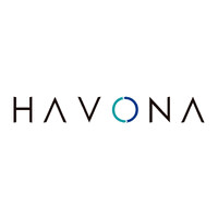 Havona Technology logo - Similar company to Burt Software Solutions