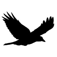 Old Crow Hemp Company logo - Similar company to Venera