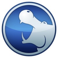 Hippo Leasing logo - Similar company to Leasing.Com