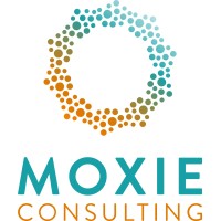 Moxie Consulting | Fidelity National Title