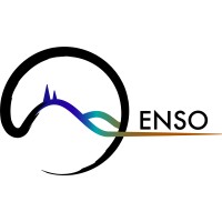 Enso Geospatial logo - Similar company to Simplex 3D