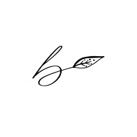 Believer's Birth logo - Similar company to Contractors Mark Inc