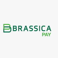 Brassica Pay Gh logo - Similar company to Alix Infinity Technologies