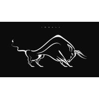 Big Bull logo - Similar company to Solution Graph
