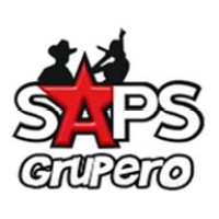 Saps Grupero logo - Similar company to Remex