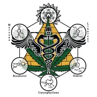 Davis Hemp Farms logo - Similar company to Hemp Hoax