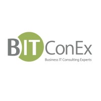 BITConEx logo - Similar company to Webfactory Ltd