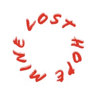 Lost Hope Mine logo - Similar company to Mcfarlane Lake Mining