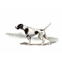 Pointer Search Partners logo - Similar company to Dm Luxury Properties