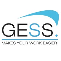 Georgian Software Solutions