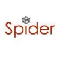 Spider Software logo - Similar company to Dezigndia Technologies