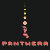 Panthera Yoga + Reiki