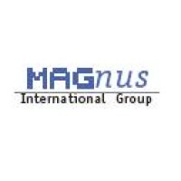 Magnus International Group Inc. logo - Similar company to Klsm Technologies