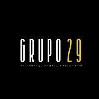 Grupo 29 SAS | Ciberseguridad | Seguridad Informática | Tecnología | IT | Marketing Digital logo - Similar company to Hseq 