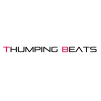 Thumping Beats Events And Entertainment logo - Similar company to Wisefolks