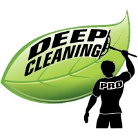 Deep Cleaning Pro