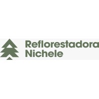Reflorestadora Nichele Indústria de Madeiras Ltda logo - Similar company to Nichele Madeiras E Moveis