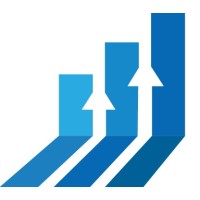 Rise Infotech logo - Similar company to Vyanwebs Private Limited
