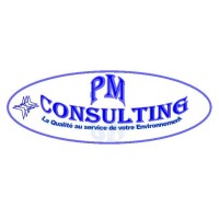 PM CONSULTING logo - Similar company to Pm Consulting