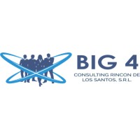 Big 4 Consulting logo - Similar company to Big Five Consulting Services