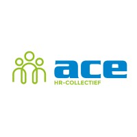 ACE Integraal Netwerk logo - Similar company to Fitmasters