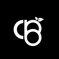 Cloudberry Tech Solutions logo - Similar company to Sambuq