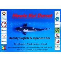 Howie Koi Dorset logo - Similar company to Oaktree Construction & Marine Services
