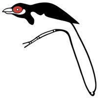 Field Ornithology Group of Sri Lanka logo - Similar company to Gmatclap