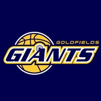 Northern Star Resources Goldfields Giants logo - Similar company to Globe Metallurgical Inc