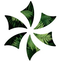 SHARE General logo - Similar company to Share_
