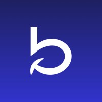bankiz logo - Similar company to Morse By Ibs